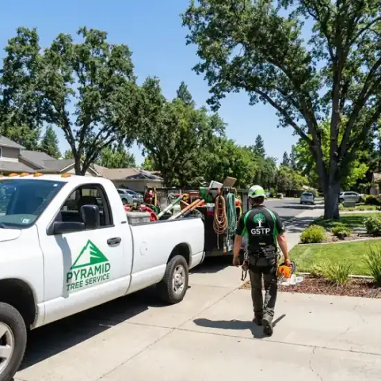 Arborist Action truck arriving at a Port Orange residential job