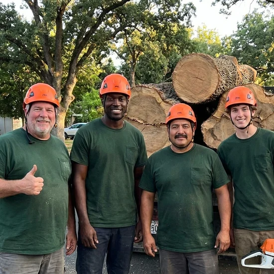 Arborist Action tree crew with a truck loaded with oak logs in Port Orange